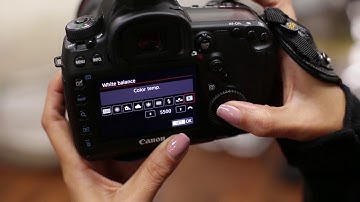 Setting Your Camera with Ana Brandt