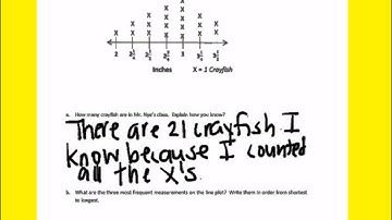 Module 6 End of Module review page 3