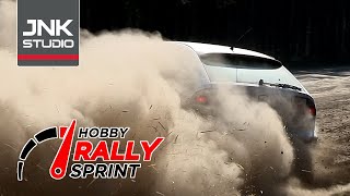 Best of Rally Halenkovice 2024 (action & mistakes)
