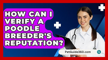 How Can I Verify A Poodle Breeder