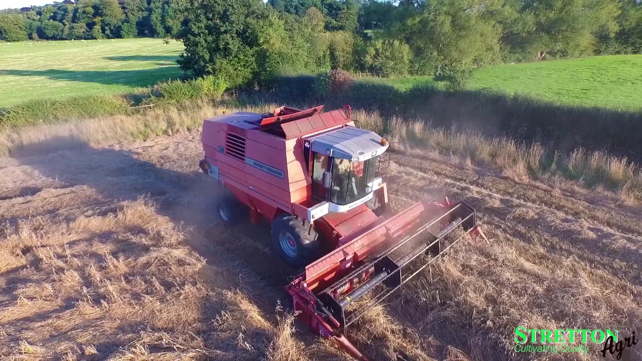 Massey Ferguson 38 at work