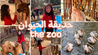 حديقة الحيوان بالجيزة the zoo بعد التجديد🐅🦓 لو ناوي تروح يبقي لازم تشوف الفيديو ده animals 🐴🦁