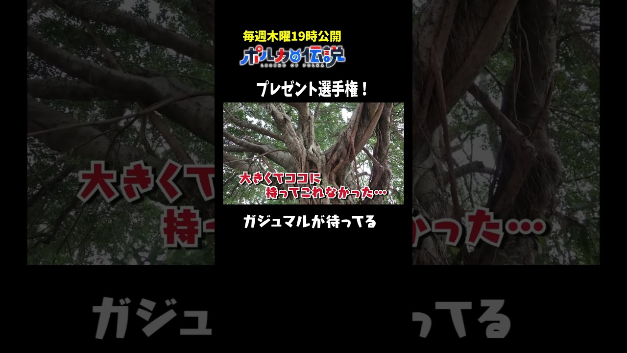 ポルカからスタッフへのクリスマスプレゼントがヤバいw#ポルカの伝説 #尾丸ポルカ