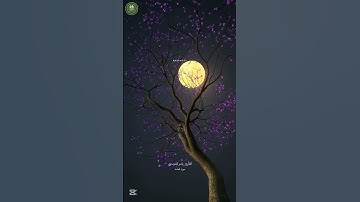 قال الله هاذا يوم ينفع الصادقين صدقهم سورة المائدة القارئ//#ياسر_الدوسري #خدمة_حكم_ومواعظ #اكسبلور