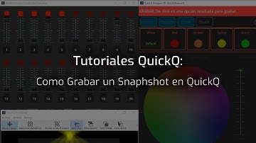 Tutoriales QuickQ: Como Grabar un Snaphshot en QuickQ