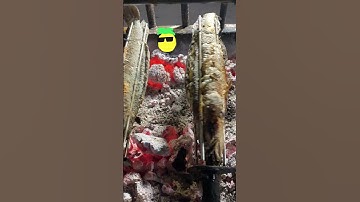 Cá Lóc Nướng Muối Tuyết – Mùi Quê Nhà Trong Từng Miếng Thịt Cá