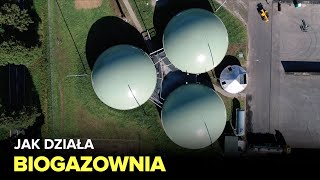 Jak powstaje biogaz? BIOGAZOWNIA - Fabryki w Polsce