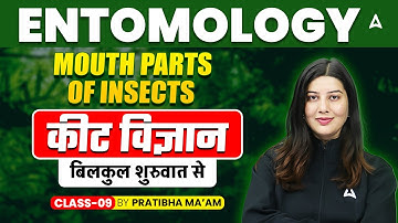 Entomology Mouth parts of insects | कीट विज्ञान बिलकुल शुरुवात से Class 09 | By Pratibha Ma