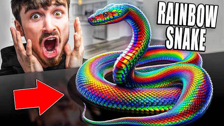 Rainbow Snake! The Most Beautiful Snakes In The World!