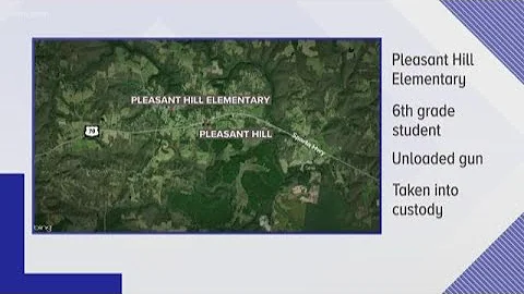 Elementary student charged for taking gun to school