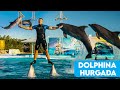 Dolphina Hurghada, Egypt / Dolphin Show Hurghada / Delfīnu šovs Hurgada, Ēģipte