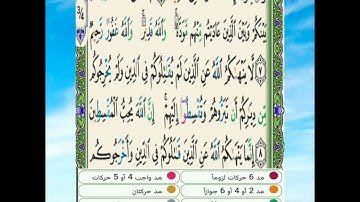 سورة الممتحنة: تفصيل أحكام التجويد برواية حفص عن عاصم من الآية 7 إلى الآية 8 🌴🦜.