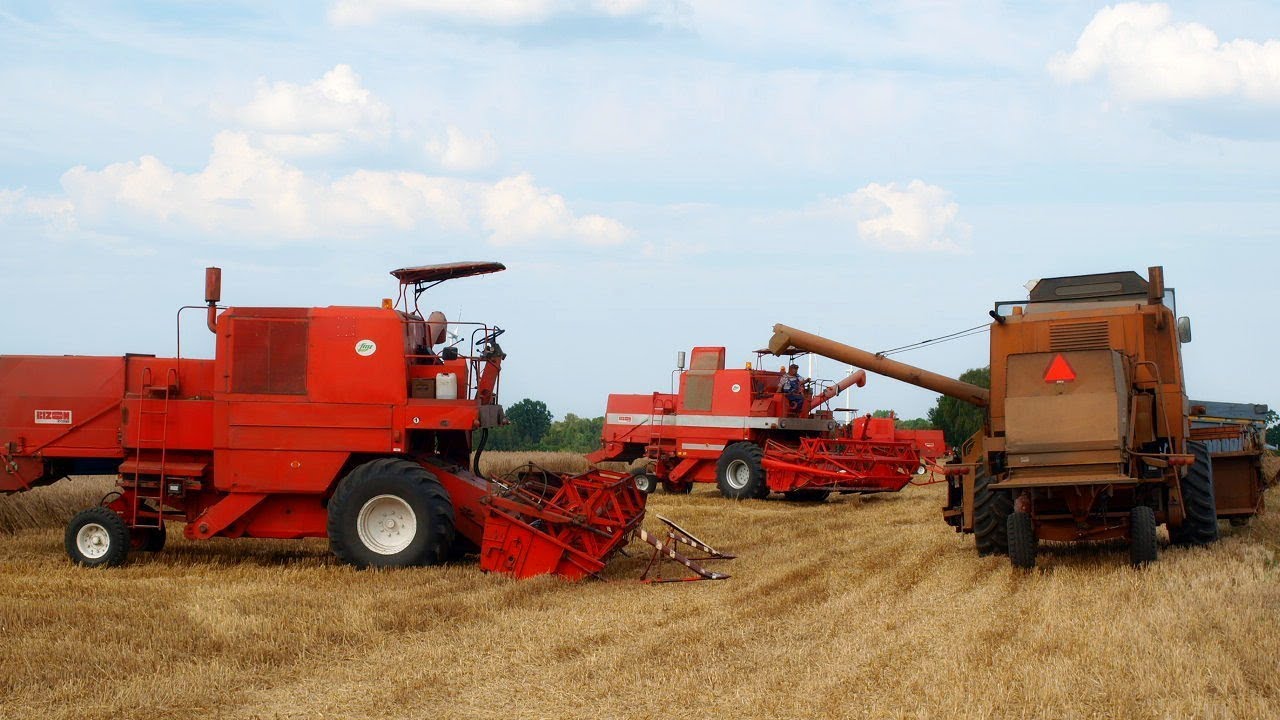 Dzień w eskaerze Żniwa na 4 bizony