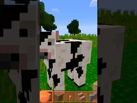 ÇAKMA MİNECRAFT