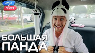 Большая панда (Китай). Орёл и Решка. Чудеса света (eng, rus sub) screenshot 3