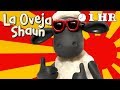 Español Capitulos Completos - La Oveja Shaun (Temporada 1)