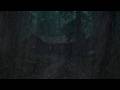 Relax and Sleep with Heavy Rain in the Night Forest | Natural Sounds for Stress Reduction and Focus