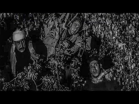 طلبة ورجالة المقاومة عملوا كمين للإنجليز ونزلوا عليهم من الشجر زي النسور