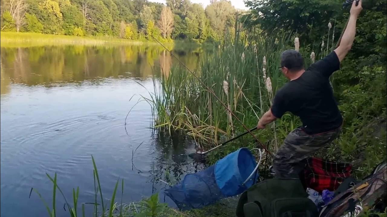 На что ловить на северском донце Фидер на Северском Донце. Ловля весной на реке YouTube