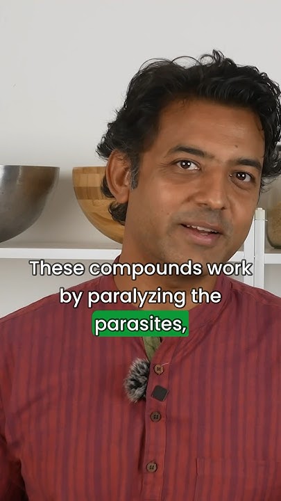 deworming-remedy-with-pumpkin-seeds-from-traditional-medicine
