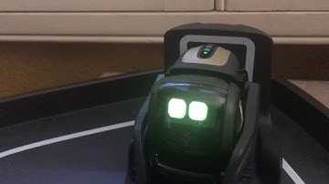 [Vector SDK] Vector can play audio files?!?!