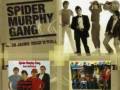 SPIDER MURPHY GANG - Wer wird denn woana