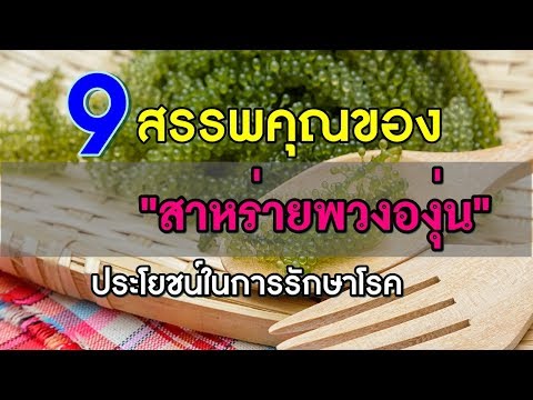 วีดีโอ: ตู้กับข้าวของวิตามินมีถิ่นกำเนิดในญี่ปุ่น มะตูม - ประโยชน์และคุณค่าทางโภชนาการ