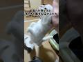 保護猫を好きなだけ撫でられる家はどうですか？ #cat