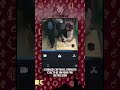 ¡CUIDADO! CAPTAN EL MOMENTO EXACTO DE UN ROBO POR DISTRACCIÓN