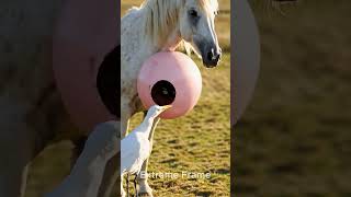Help the horse  #ai #animals #shorts #horse