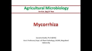 Mycorrhiza | Difference between endo and ectomycorrhiza | Benefits to plants | Symbiosis