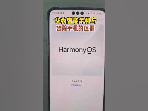 Re: [討論] 華為新手機mate 60 pro水準如何？