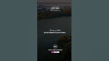 Surah Az-Zumar (Ayah 53)سورة الزمر || BAHEEJ NASIRUDHEEN