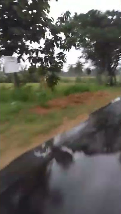 Mas lunggoku ra keket cidro'aku lagi pengen mikir kerjo'