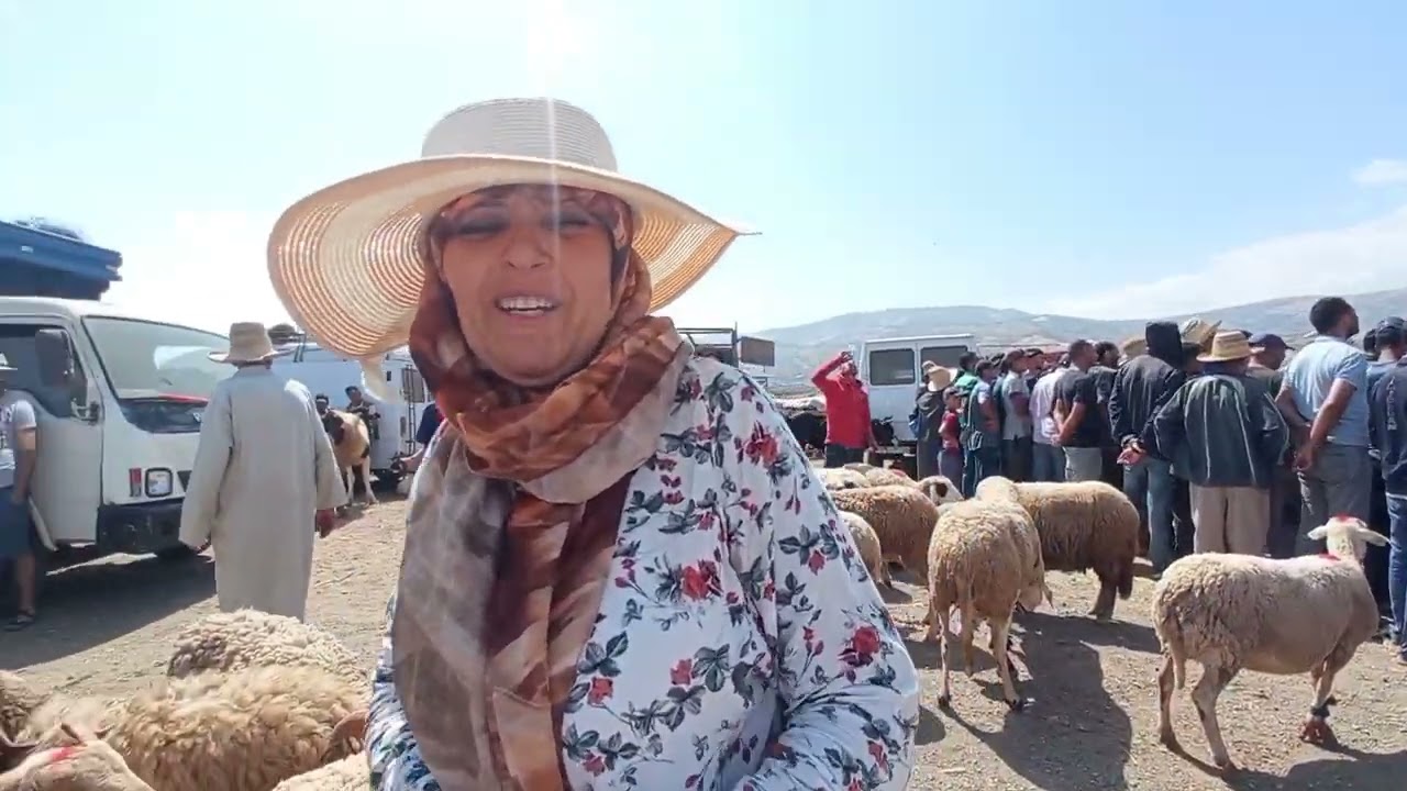 الحولي موجود في سوق السبت و الثمن ... 😂😂❤️