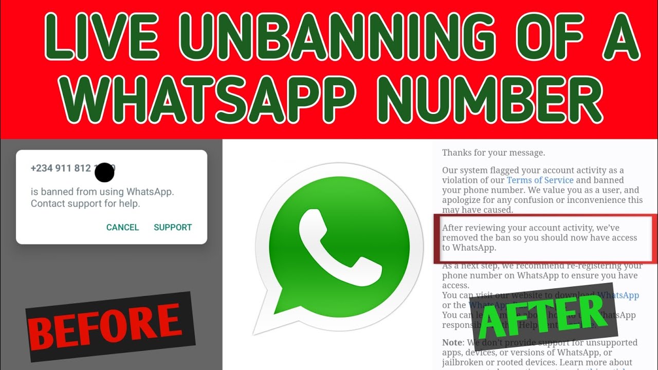 How To UNBAN Your Whatsapp Number YouTube how-to-unban-your-whatsapp-number-youtube
