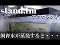 【アクアリウムラジオ】水が蒸発する事の影響と対策【stand fm】