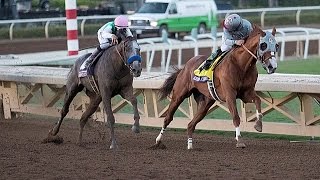 BREEDERS CUP CLASSIC 2016  ARROGATE  FULL STORY