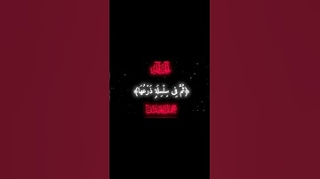 #محمد_اللحيدان سورة الحاقه ( هلك عني سلطانيه )