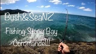 Stony Bay camp Coromandel | Camping and fishing New Zealand