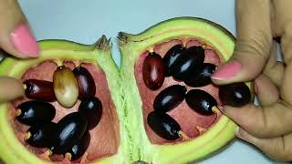 Kachaa Pistaa A Very Tasty Must Watch To Know More