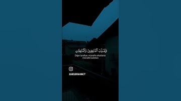 تلاوة خاشعه ياسر الدوسري سورة الفتح ❤🎧