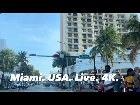 Video: Nejlepší Guavské Dezerty V Miami
