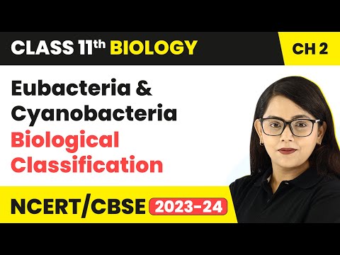 Eubacteria , Cyanobacteria - Biological Classification | Class 11 Biology/NEET