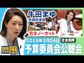 2026年3月24日|参議院 予算委員会公聴会|牛田まゆ(国民民主党)