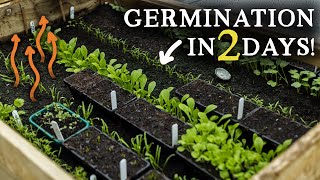 Start Growing Food in January (No Polytunnel or Electric Needed!)