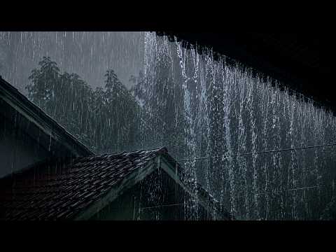 Heavy Rain Sounds for Sleep 🌧️ Super Heavy Rain on a Village Rooftop | Deep Sleep | No Ads