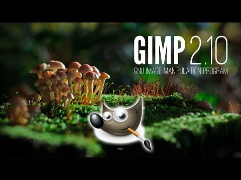 CURSO DE GIMP - COMPLETO