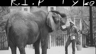 Tyke Tribute Amv Pmv Animation