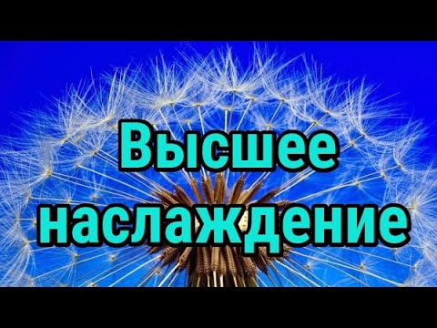 Высшее наслаждение